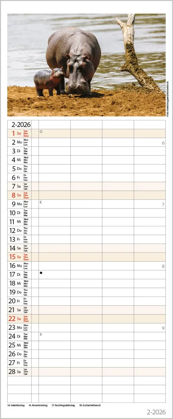 Bild: 9783731886846 | Tierfamilien Familienplaner 2026 | Verlag Korsch | Kalender | 13 S.