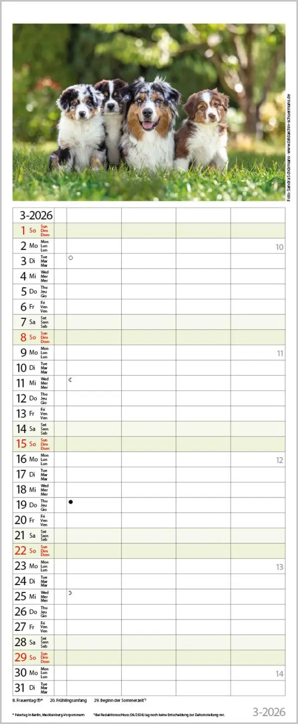 Bild: 9783731886846 | Tierfamilien Familienplaner 2026 | Verlag Korsch | Kalender | 13 S.
