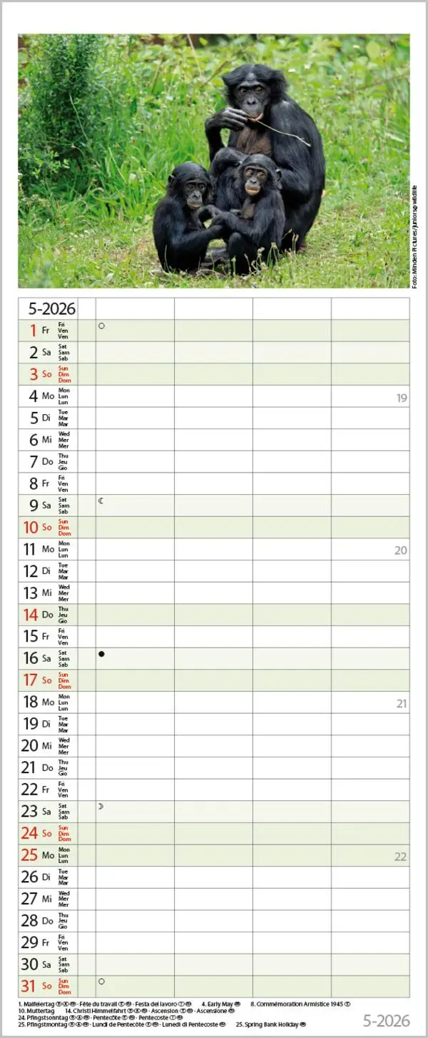 Bild: 9783731886846 | Tierfamilien Familienplaner 2026 | Verlag Korsch | Kalender | 13 S.