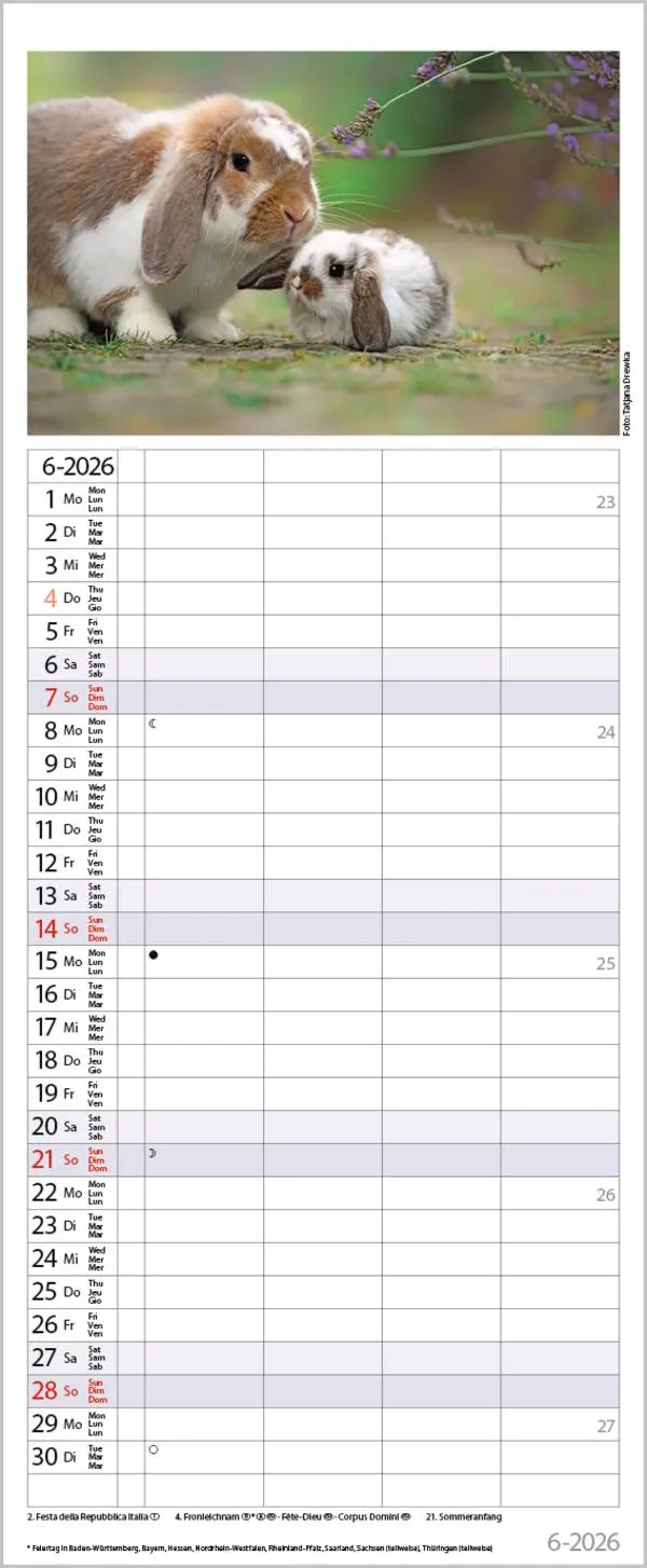 Bild: 9783731886846 | Tierfamilien Familienplaner 2026 | Verlag Korsch | Kalender | 13 S.