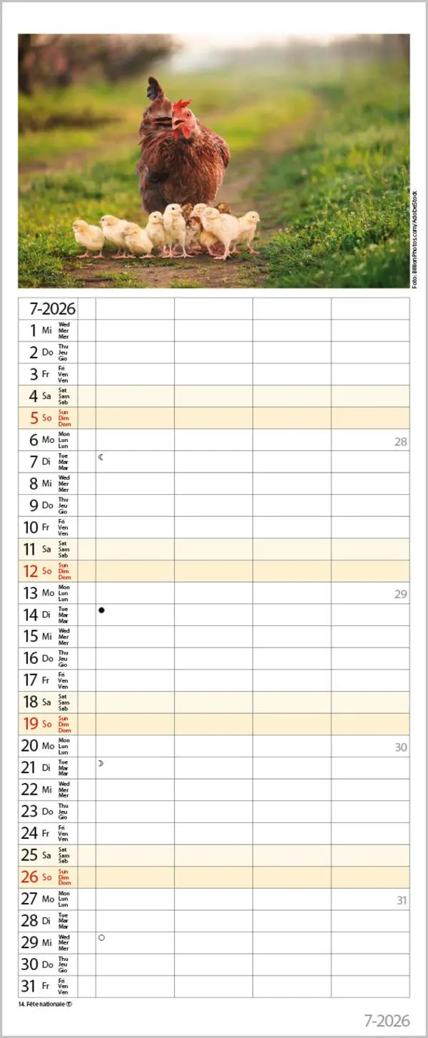 Bild: 9783731886846 | Tierfamilien Familienplaner 2026 | Verlag Korsch | Kalender | 13 S.