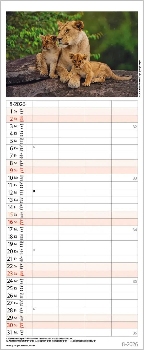 Bild: 9783731886846 | Tierfamilien Familienplaner 2026 | Verlag Korsch | Kalender | 13 S.