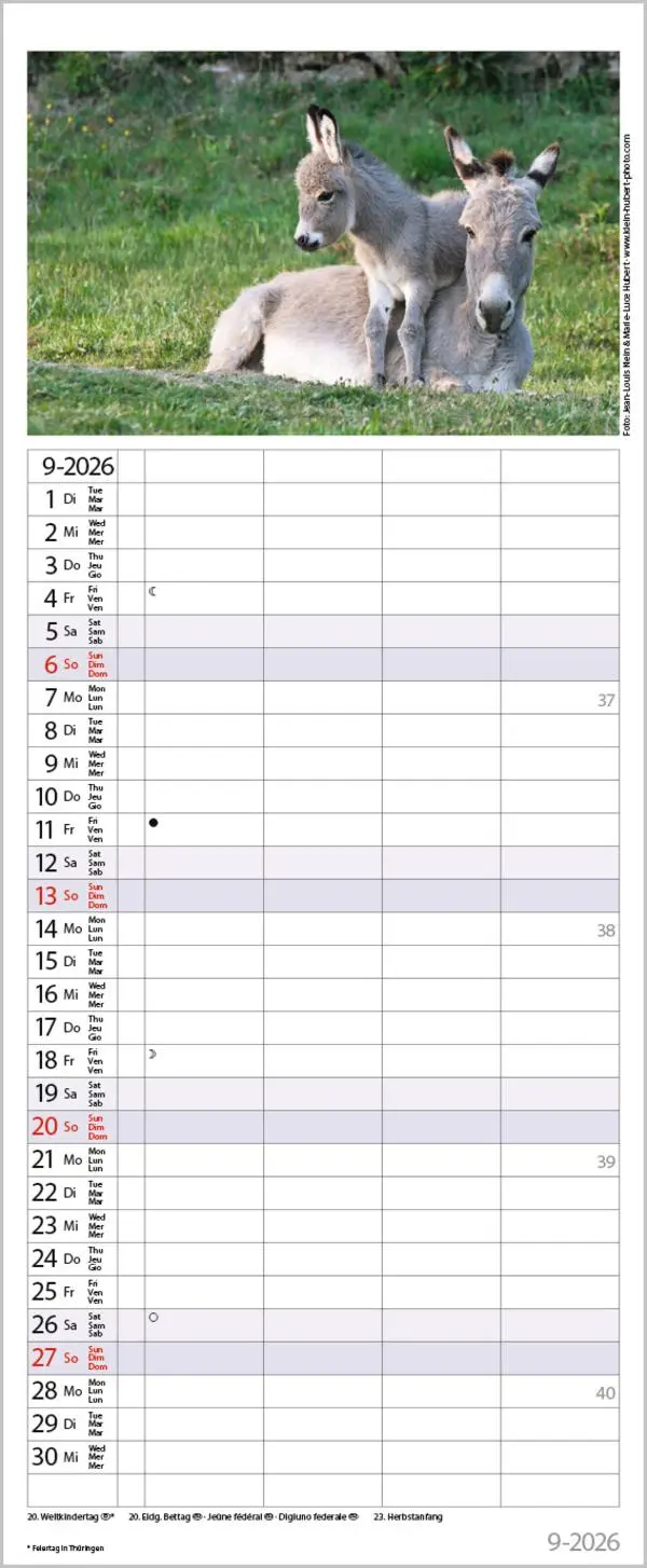Bild: 9783731886846 | Tierfamilien Familienplaner 2026 | Verlag Korsch | Kalender | 13 S.
