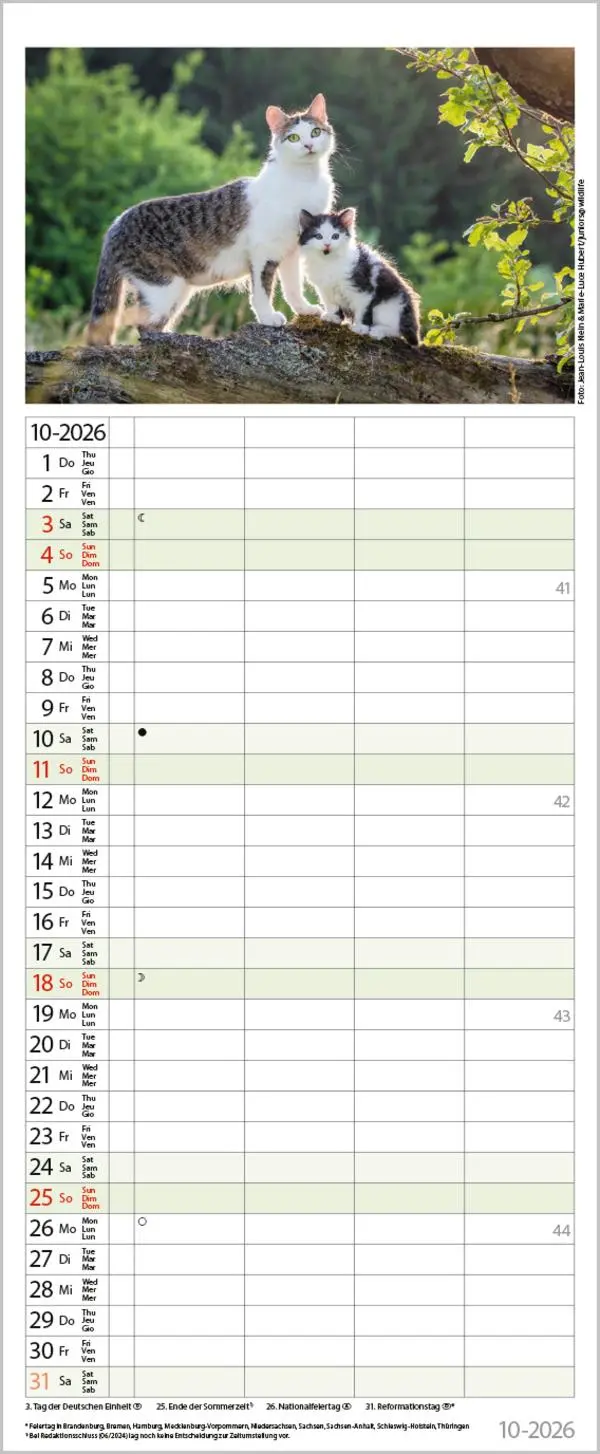 Bild: 9783731886846 | Tierfamilien Familienplaner 2026 | Verlag Korsch | Kalender | 13 S.