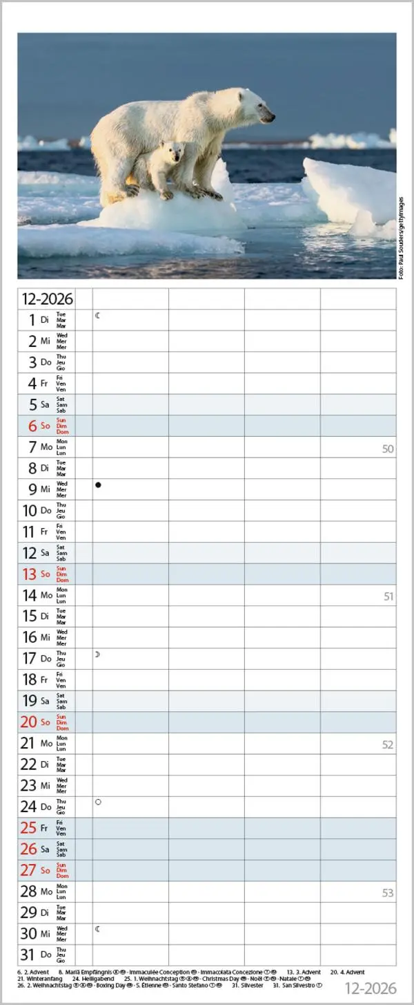 Bild: 9783731886846 | Tierfamilien Familienplaner 2026 | Verlag Korsch | Kalender | 13 S.