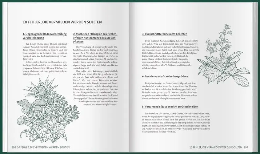 Bild: 9783784356846 | MDR Garten - Unsere Stauden | Horst Schöne | Buch | 204 S. | Deutsch