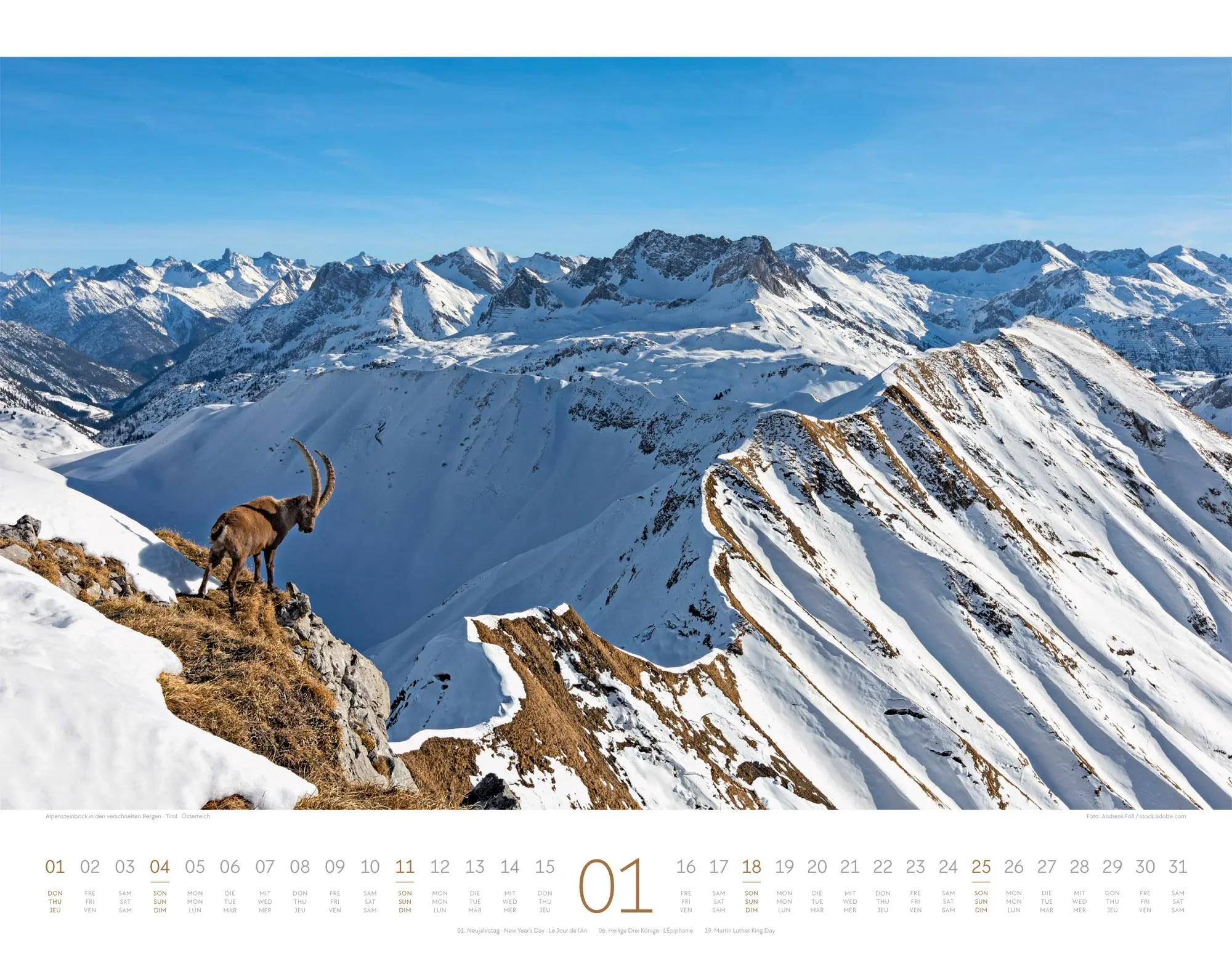 Bild: 9783838426846 | Naturparadies Alpen Kalender 2026 | Ackermann Kunstverlag GmbH | 14 S.