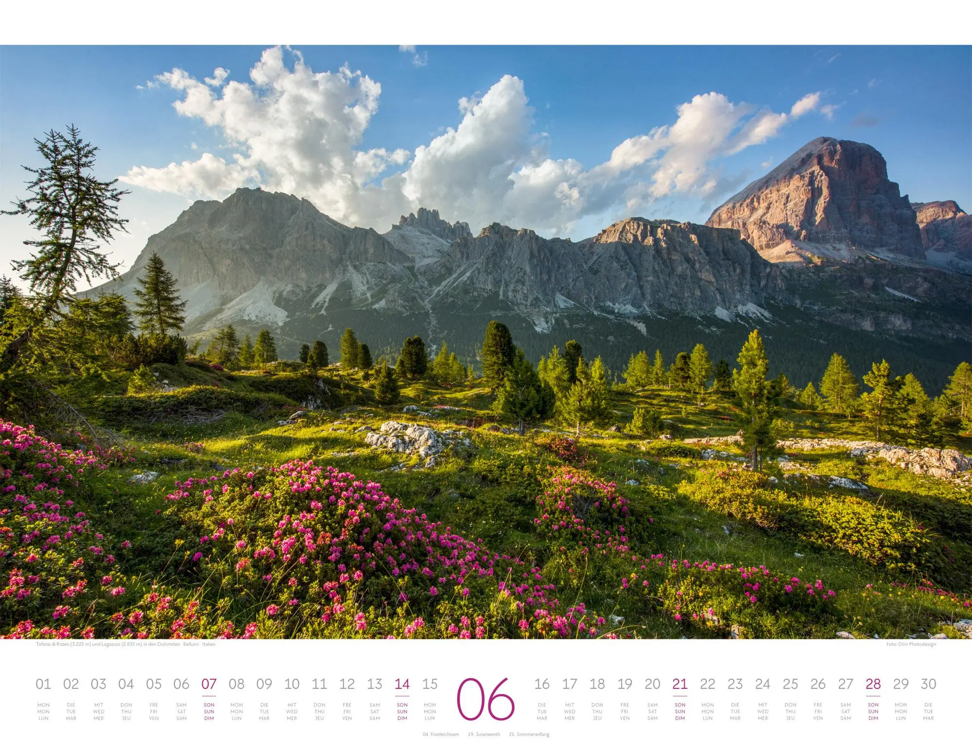 Bild: 9783838426846 | Naturparadies Alpen Kalender 2026 | Ackermann Kunstverlag GmbH | 14 S.