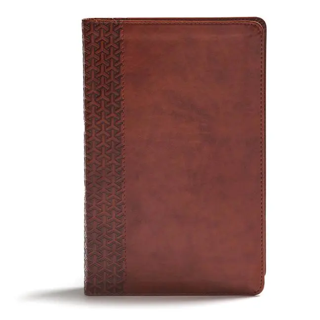 Cover: 9781462796946 | CSB Everyday Study Bible, British Tan Leathertouch | Holman | Buch