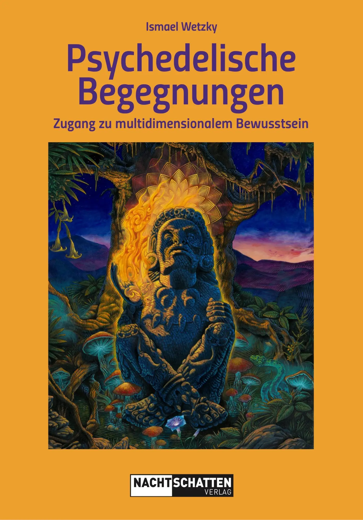 Cover: 9783037886946 | Psychedelische Begegnungen | Zugang zu multidimensionalem Bewusstsein