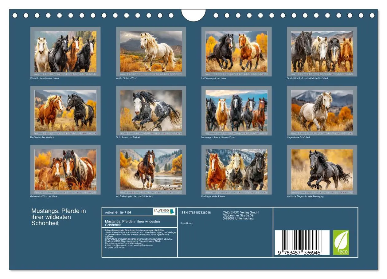 Bild: 9783457336946 | Mustangs. Pferde in ihrer wildesten Schönheit (Wandkalender 2026...