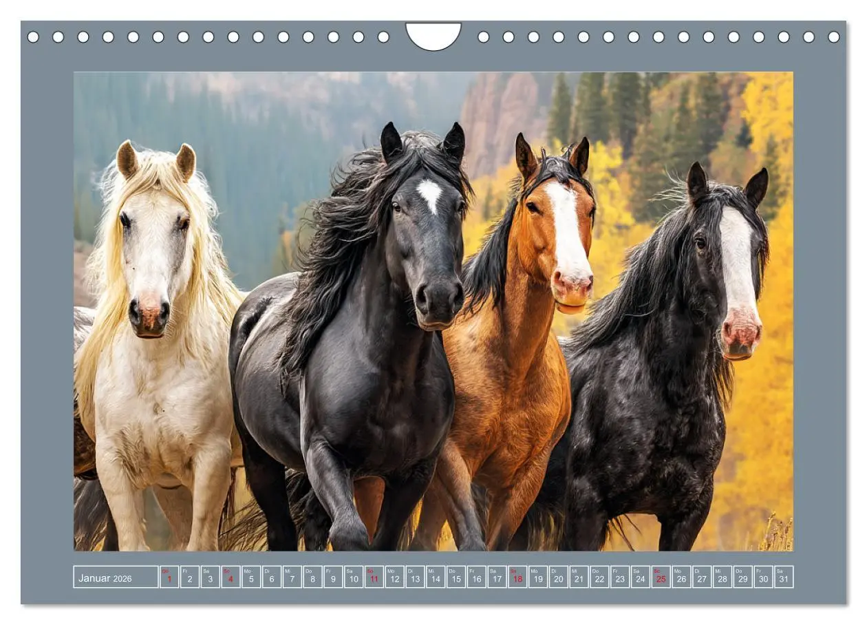 Bild: 9783457336946 | Mustangs. Pferde in ihrer wildesten Schönheit (Wandkalender 2026...