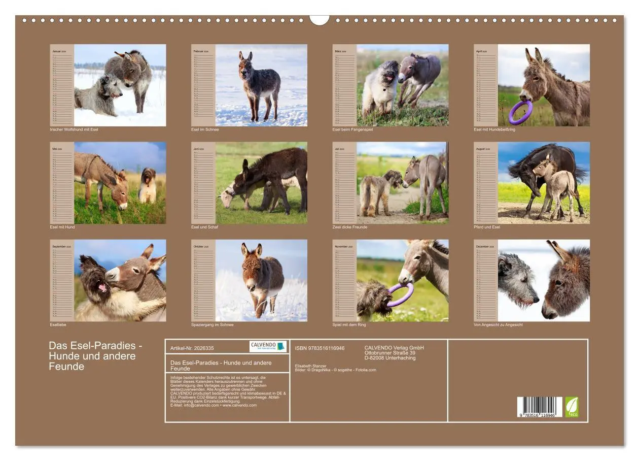 Bild: 9783516116946 | Das Esel-Paradies - Hunde und andere Feunde (Wandkalender 2026 DIN...