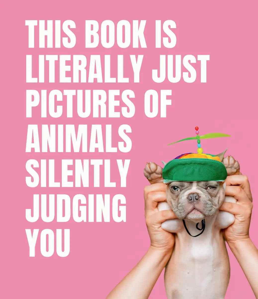 Cover: 9781922417046 | This Book is Literally Just Pictures of Animals Silently Judging You