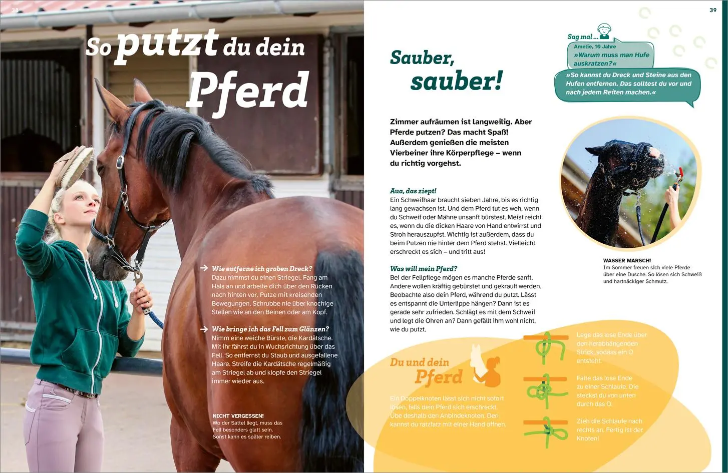 Bild: 9783788677046 | WAS IST WAS Pferde. Freunde, Freiheit, Abenteuer | Dela Kienle | Buch