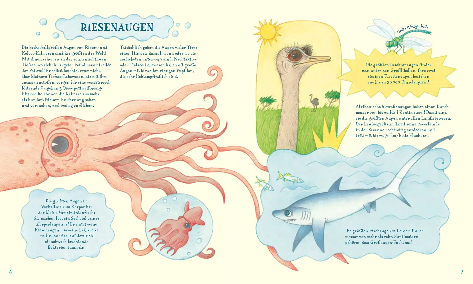 Bild: 9783314107146 | Geniale Augen | Eine kuriose Tiersammlung | Lena Anlauf | Buch | 64 S.