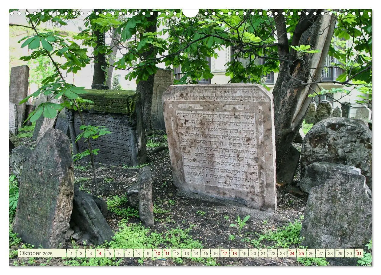 Bild: 9783457527146 | Prag. Jüdischer Friedhof und Synagogen (Wandkalender 2026 DIN A3...