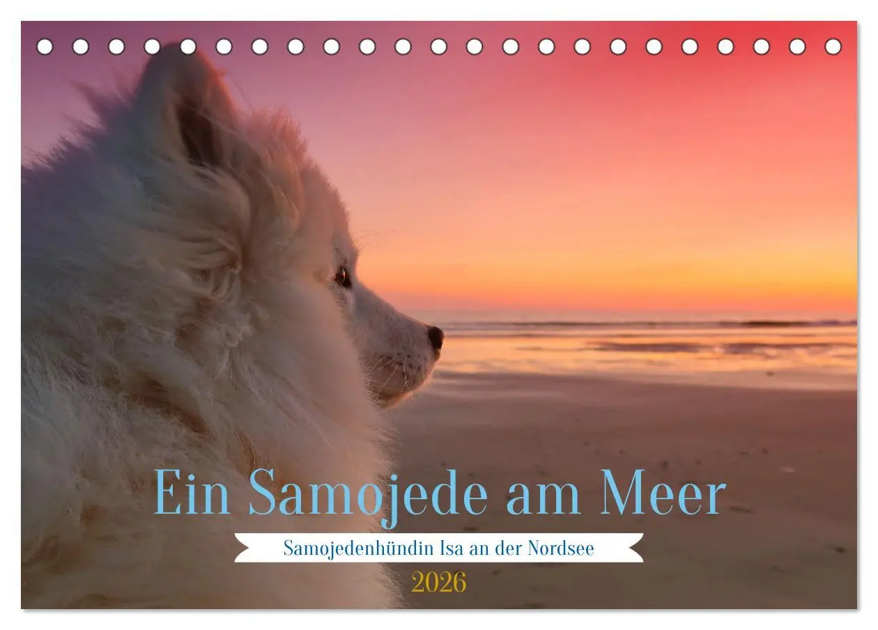 Cover: 9783457517246 | Ein Samojede am Meer (Tischkalender 2026 DIN A5 quer), CALVENDO...