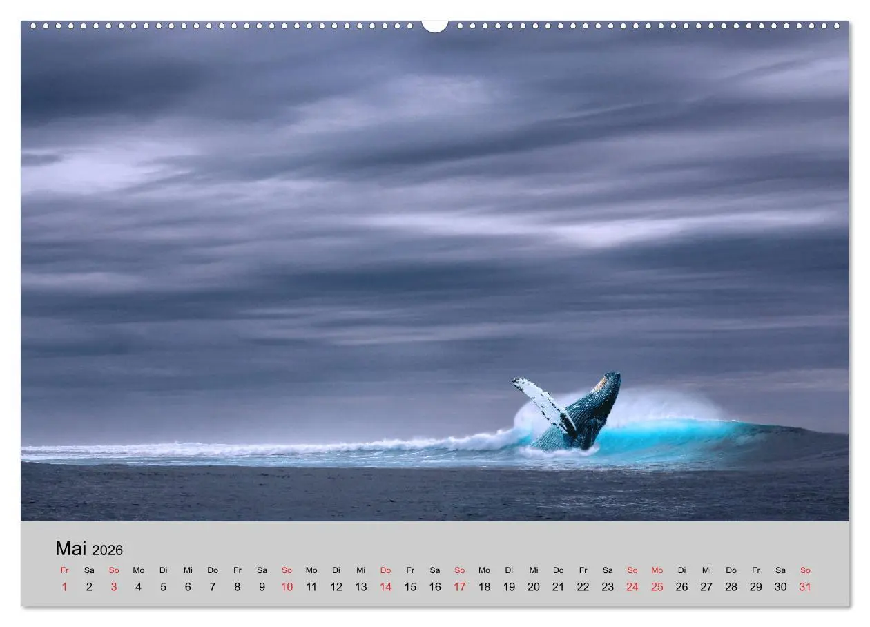 Bild: 9783457827246 | Am Meer. Sehnsucht Wasser (Wandkalender 2026 DIN A2 quer), CALVENDO...
