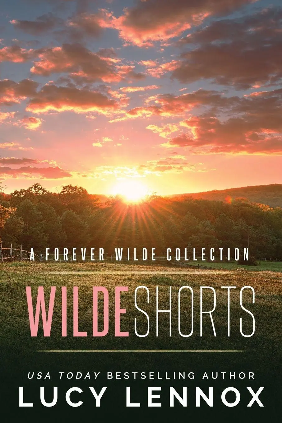 Cover: 9781954857346 | Wilde Shorts | A Forever Wilde Collection | Lucy Lennox | Taschenbuch