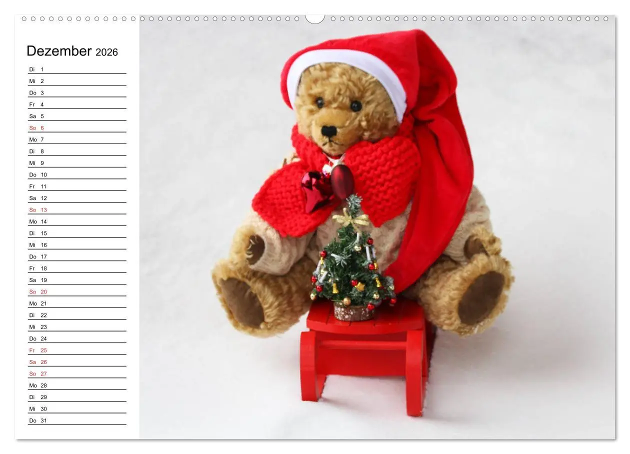 Bild: 9783457987346 | Teddy unterwegs (Wandkalender 2026 DIN A2 quer), CALVENDO...