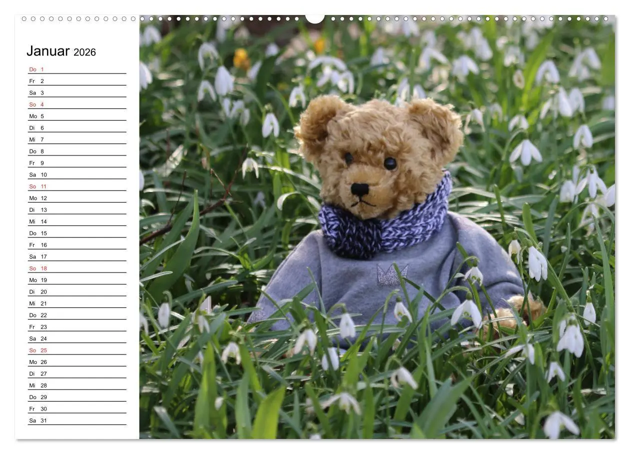 Bild: 9783457987346 | Teddy unterwegs (Wandkalender 2026 DIN A2 quer), CALVENDO...