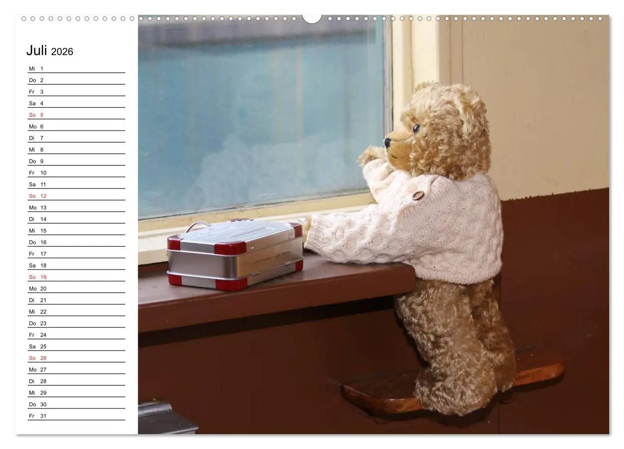 Bild: 9783457987346 | Teddy unterwegs (Wandkalender 2026 DIN A2 quer), CALVENDO...