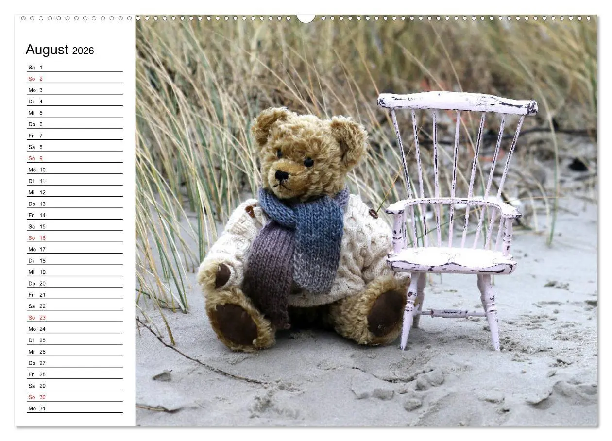Bild: 9783457987346 | Teddy unterwegs (Wandkalender 2026 DIN A2 quer), CALVENDO...