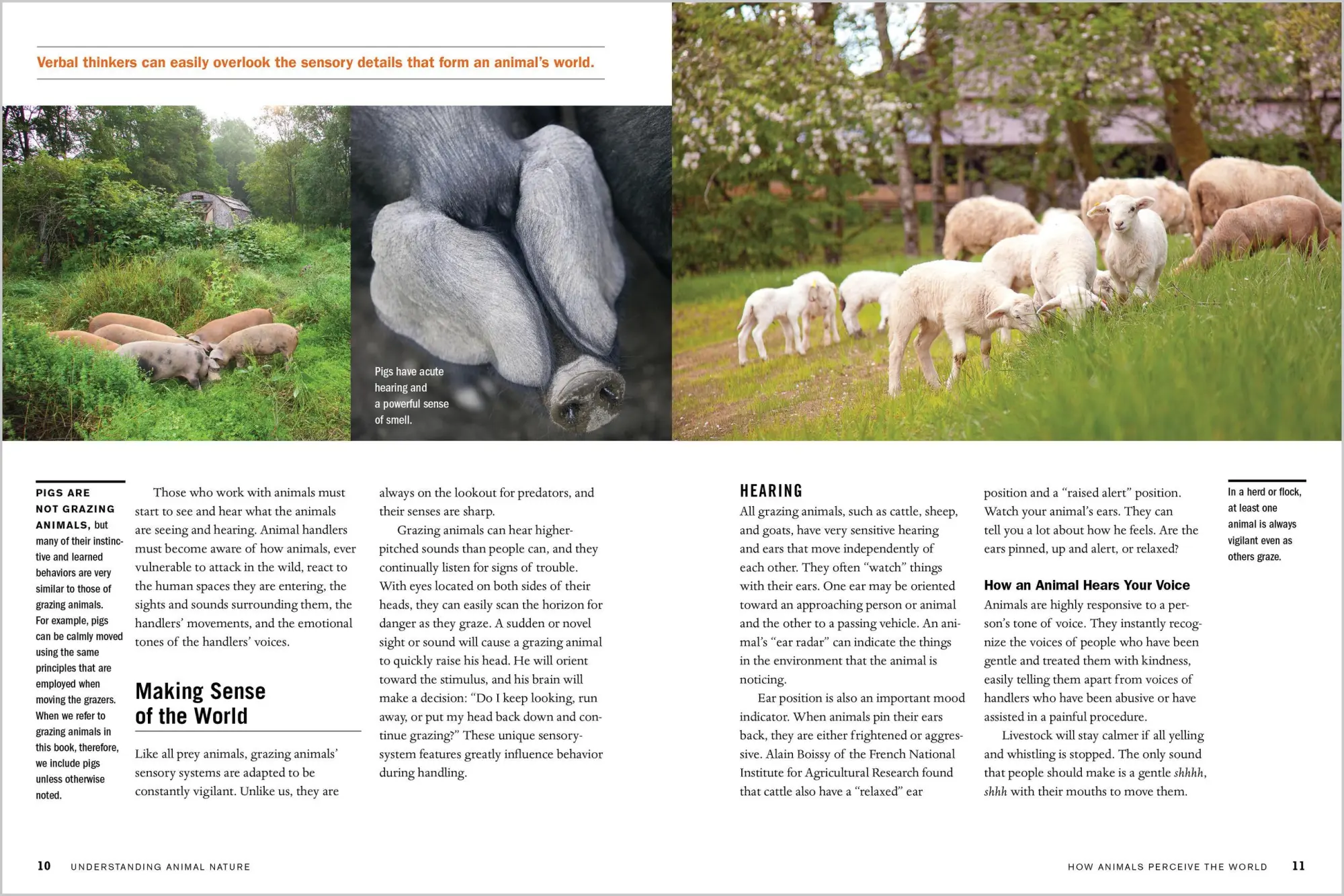 Bild: 9781612127446 | Temple Grandin's Guide to Working with Farm Animals | Temple Grandin