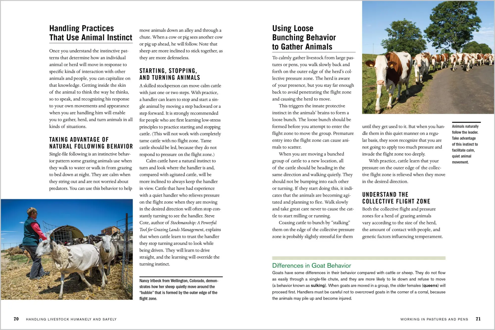 Bild: 9781612127446 | Temple Grandin's Guide to Working with Farm Animals | Temple Grandin
