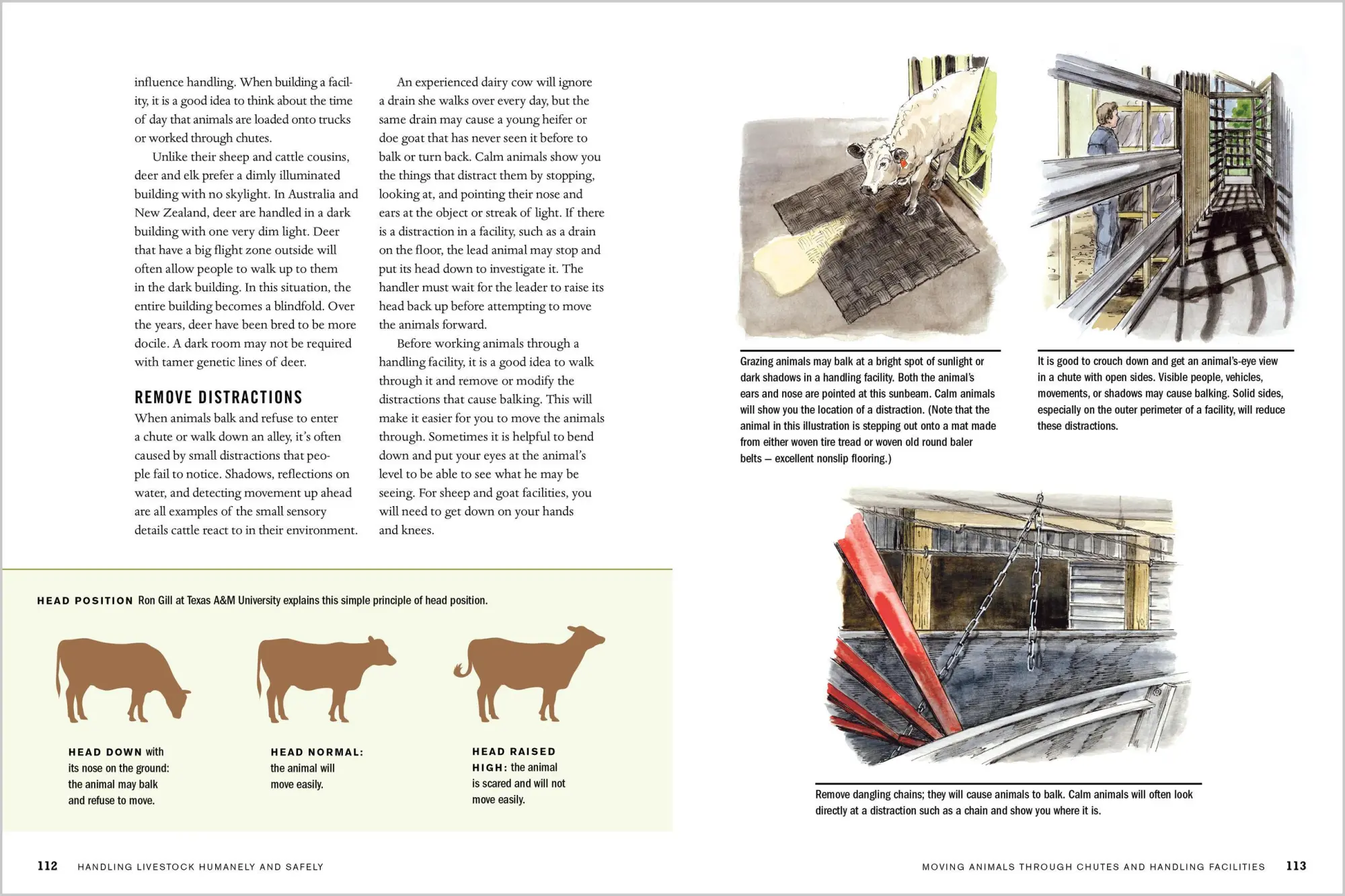Bild: 9781612127446 | Temple Grandin's Guide to Working with Farm Animals | Temple Grandin