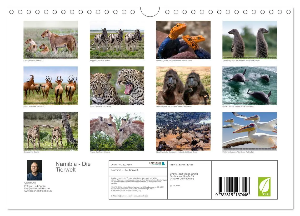 Bild: 9783516137446 | Namibia - Die Tierwelt (Wandkalender 2026 DIN A4 quer), CALVENDO...