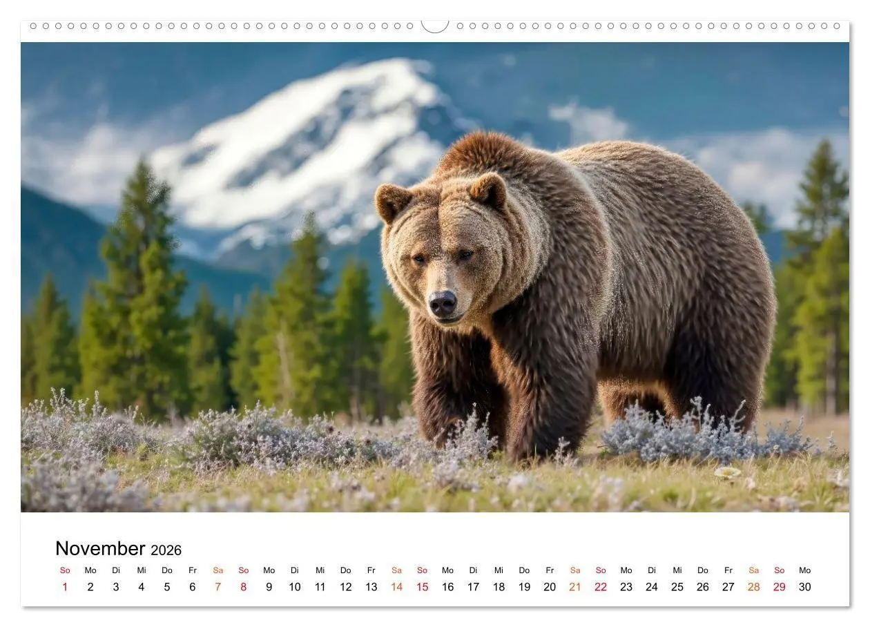 Bild: 9783516687446 | Bären - Die Macht der Natur (Wandkalender 2026 DIN A2 quer),...