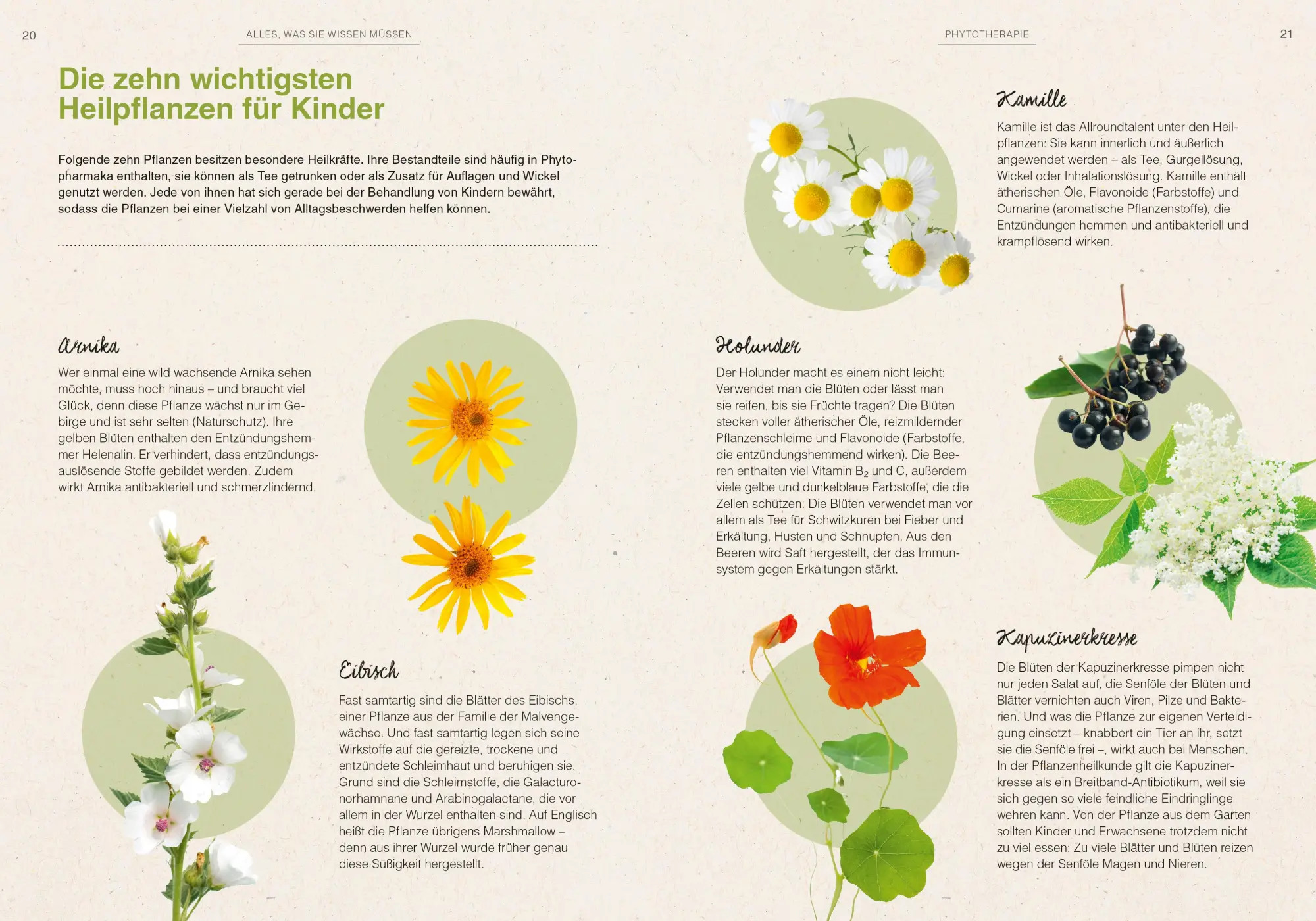 Bild: 9783898837446 | So bleibt mein Kind natürlich gesund | Catharina Amarell (u. a.) | ZS