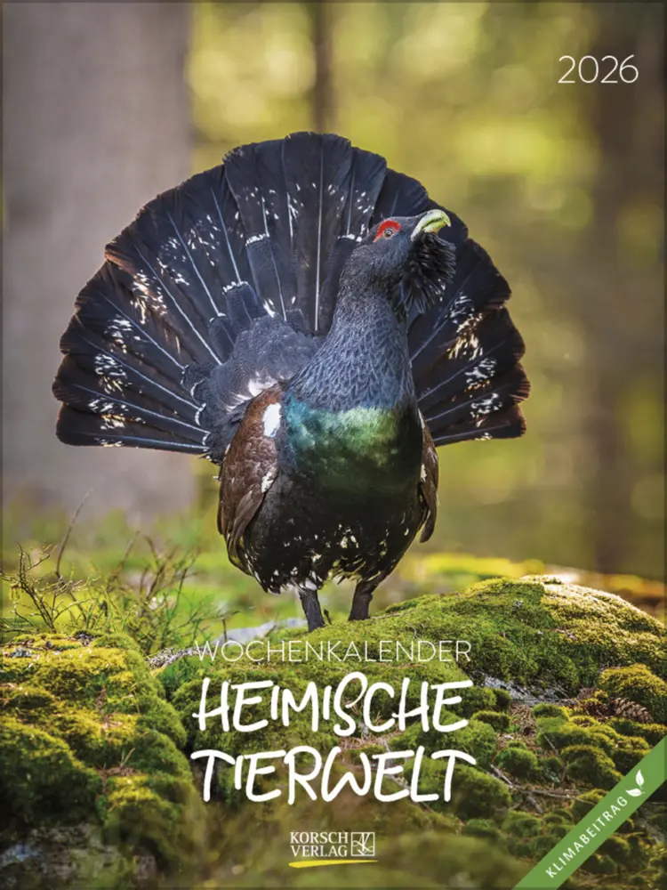 Cover: 9783731887546 | Heimische Tierwelt 2026 | Verlag Korsch | Kalender | Spiralbindung
