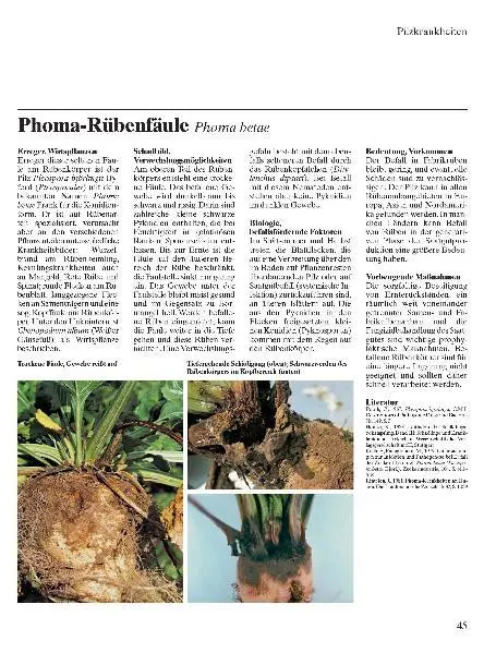 Bild: 9783981057546 | Zuckerrübe Krankheiten - Schädlinge - Unkräuter | Brendler (u. a.)