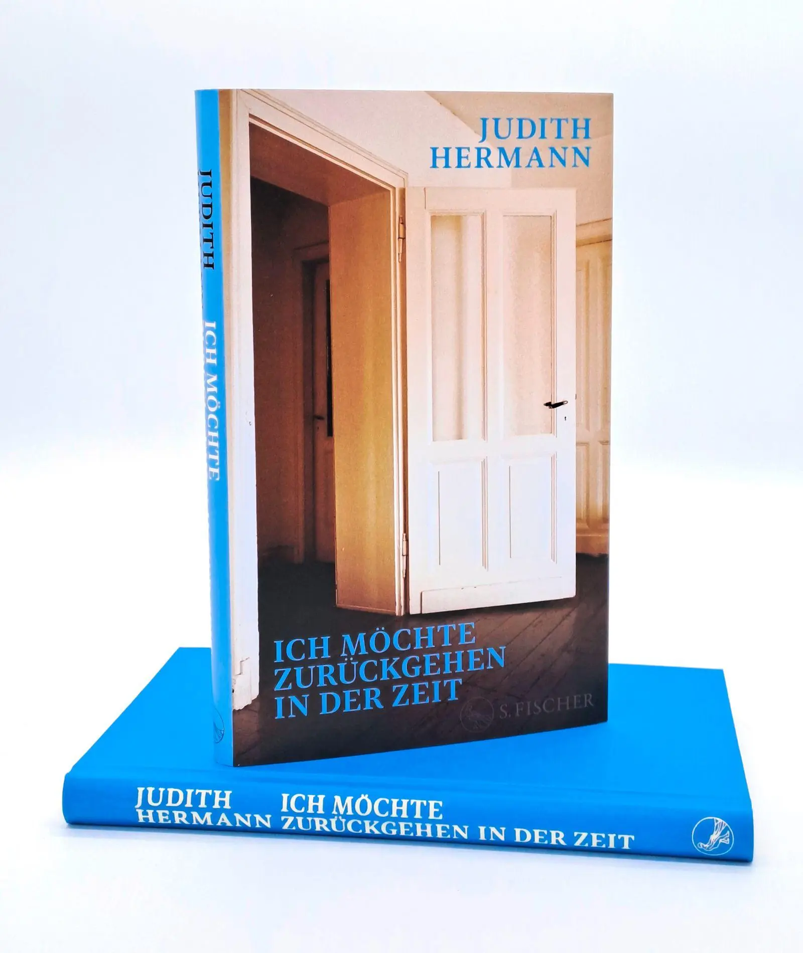 Bild: 9783103977646 | Ich möchte zurückgehen in der Zeit | Judith Hermann | Buch | 160 S.