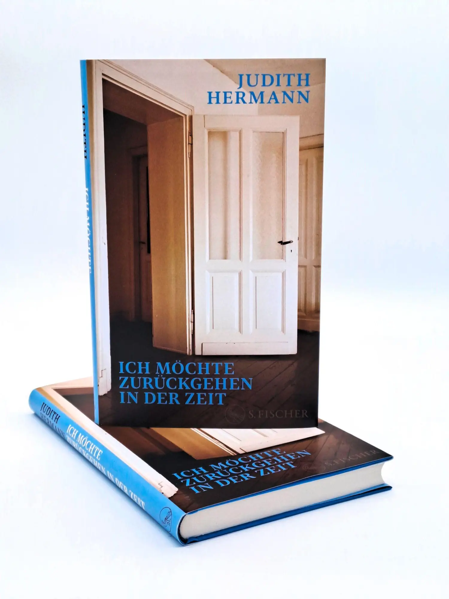 Bild: 9783103977646 | Ich möchte zurückgehen in der Zeit | Judith Hermann | Buch | 160 S.