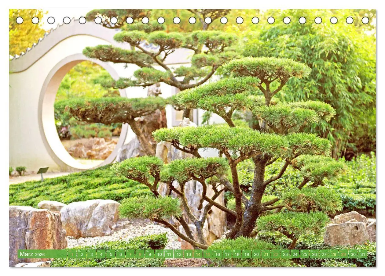 Bild: 9783516597646 | Meditationen im Zen-Garten (Tischkalender 2026 DIN A5 quer),...