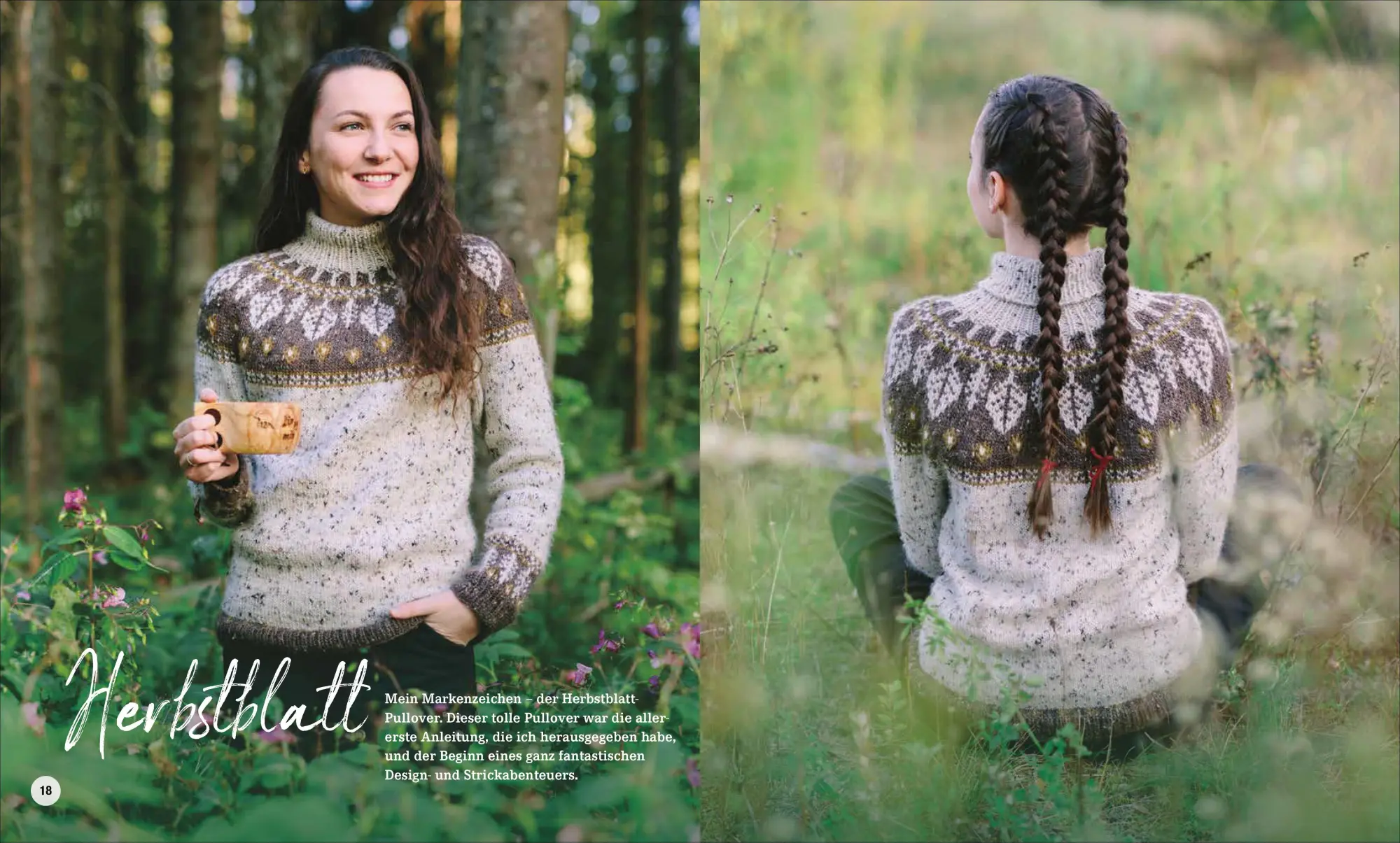 Bild: 9783841067746 | Nordischer Outdoor-Strick für die ganze Familie | Stine Viberg | Buch