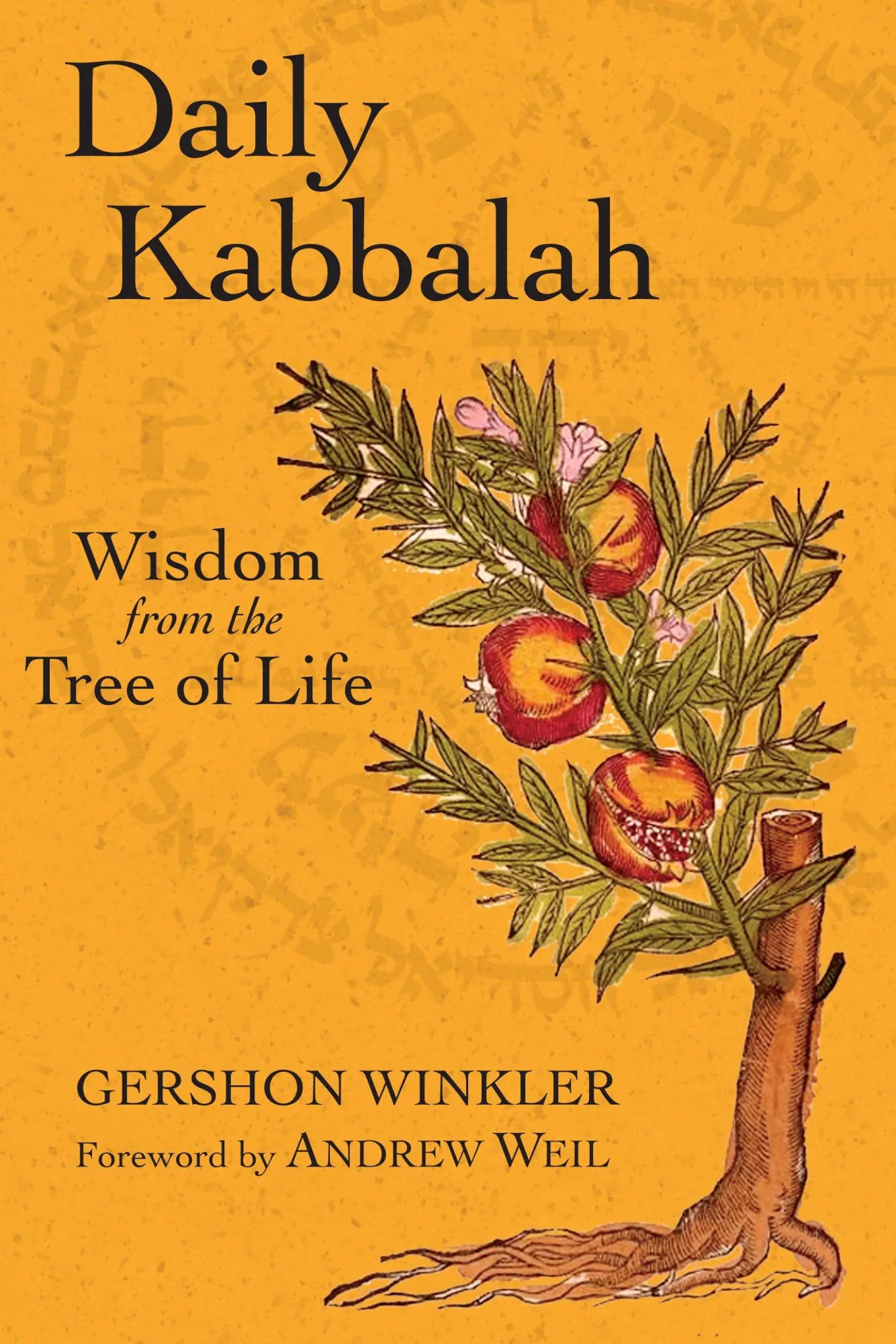 Cover: 9781556437946 | Daily Kabbalah | Wisdom from the Tree of Life | Gershon Winkler | Buch