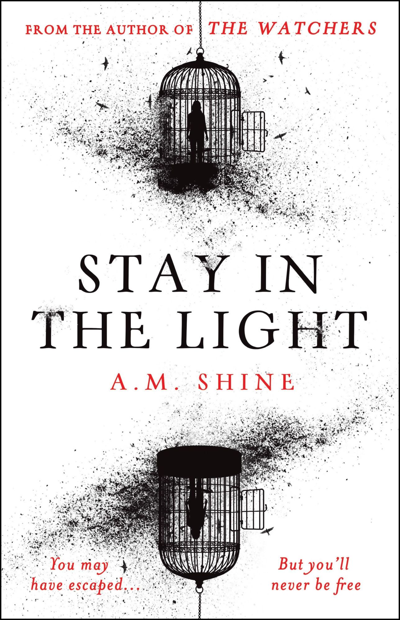Cover: 9781804547946 | Stay in the Light | A. M. Shine | Taschenbuch | Paperback | Englisch