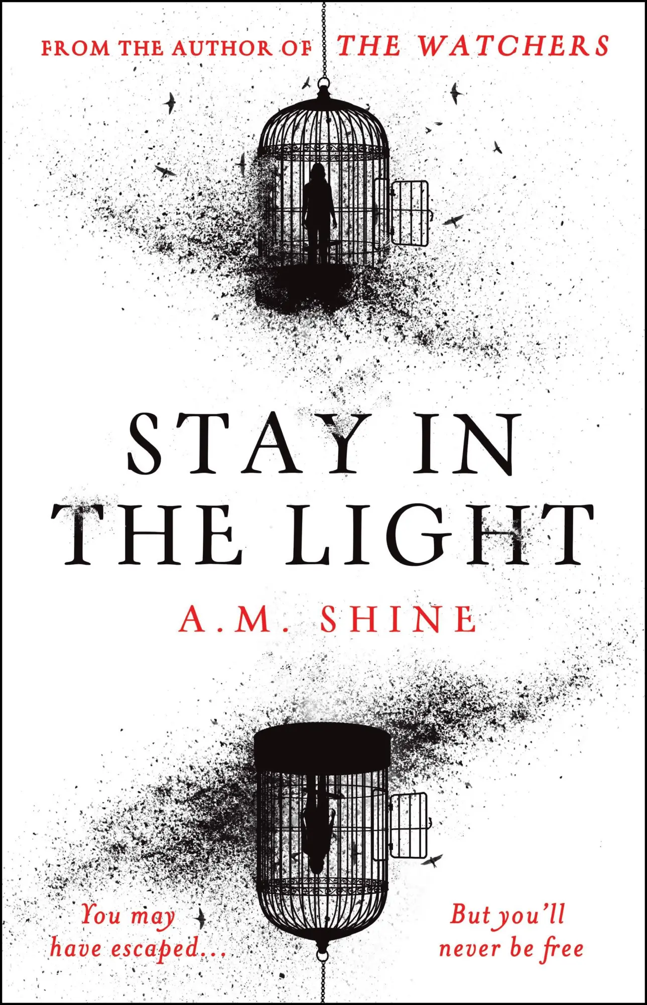 Cover: 9781804547946 | Stay in the Light | A. M. Shine | Taschenbuch | Paperback | Englisch