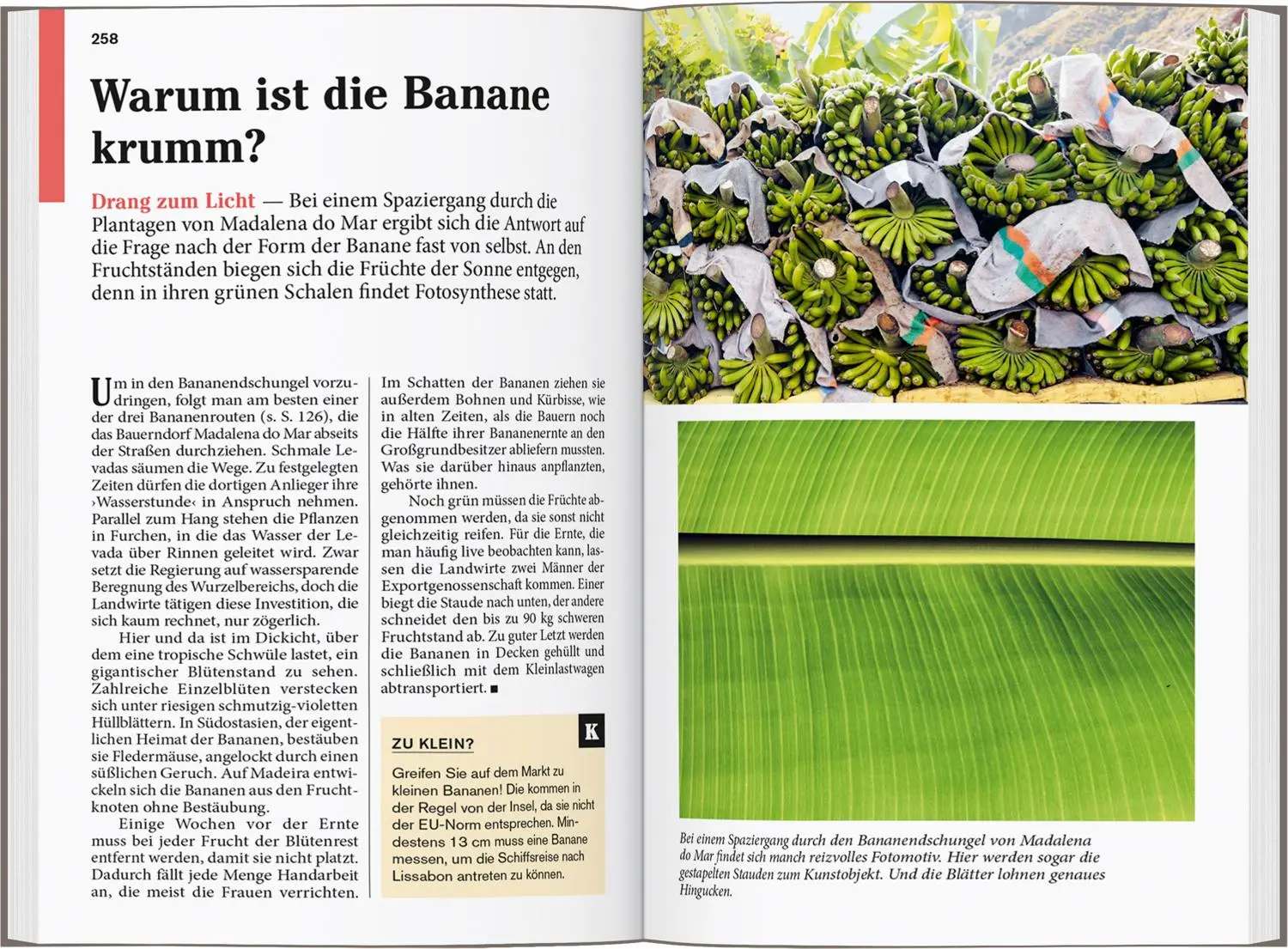 Bild: 9783616007946 | DUMONT Reise-Taschenbuch Reiseführer Madeira | Susanne Lipps | Buch