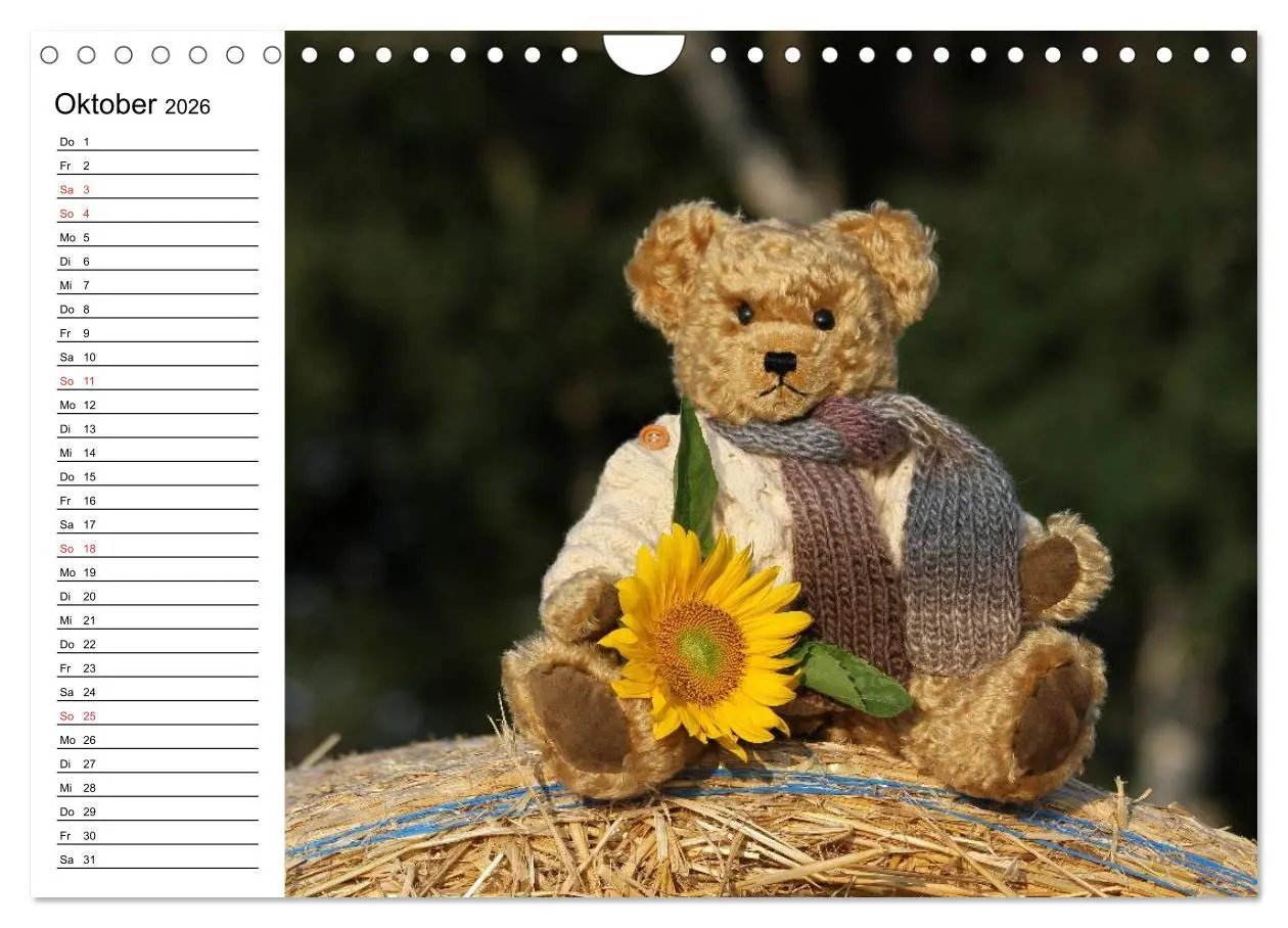 Bild: 9783457988046 | Teddy unterwegs (Wandkalender 2026 DIN A4 quer), CALVENDO...