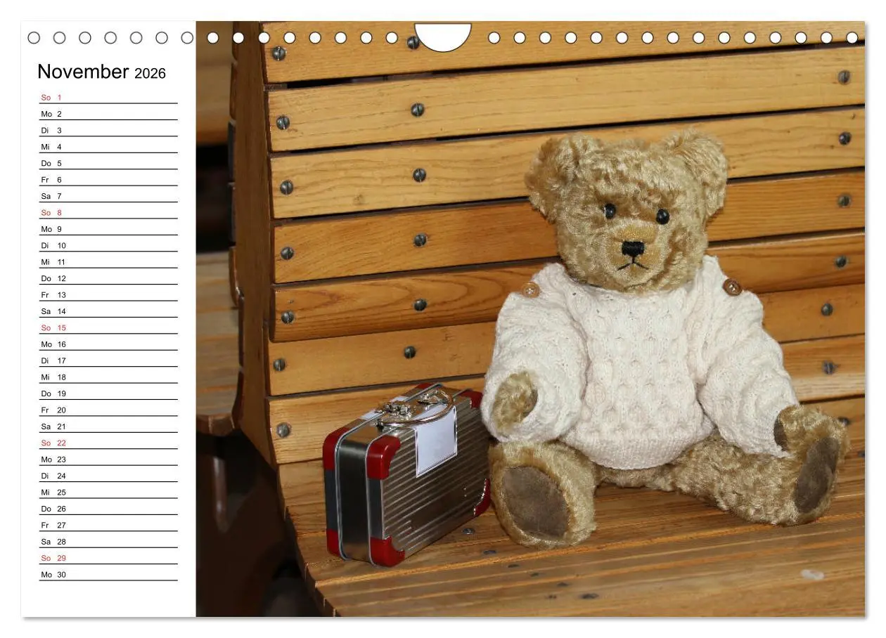 Bild: 9783457988046 | Teddy unterwegs (Wandkalender 2026 DIN A4 quer), CALVENDO...