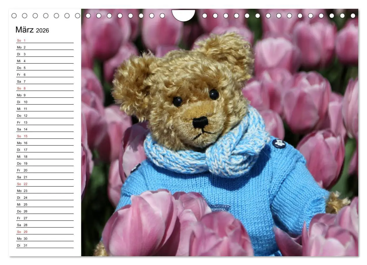 Bild: 9783457988046 | Teddy unterwegs (Wandkalender 2026 DIN A4 quer), CALVENDO...