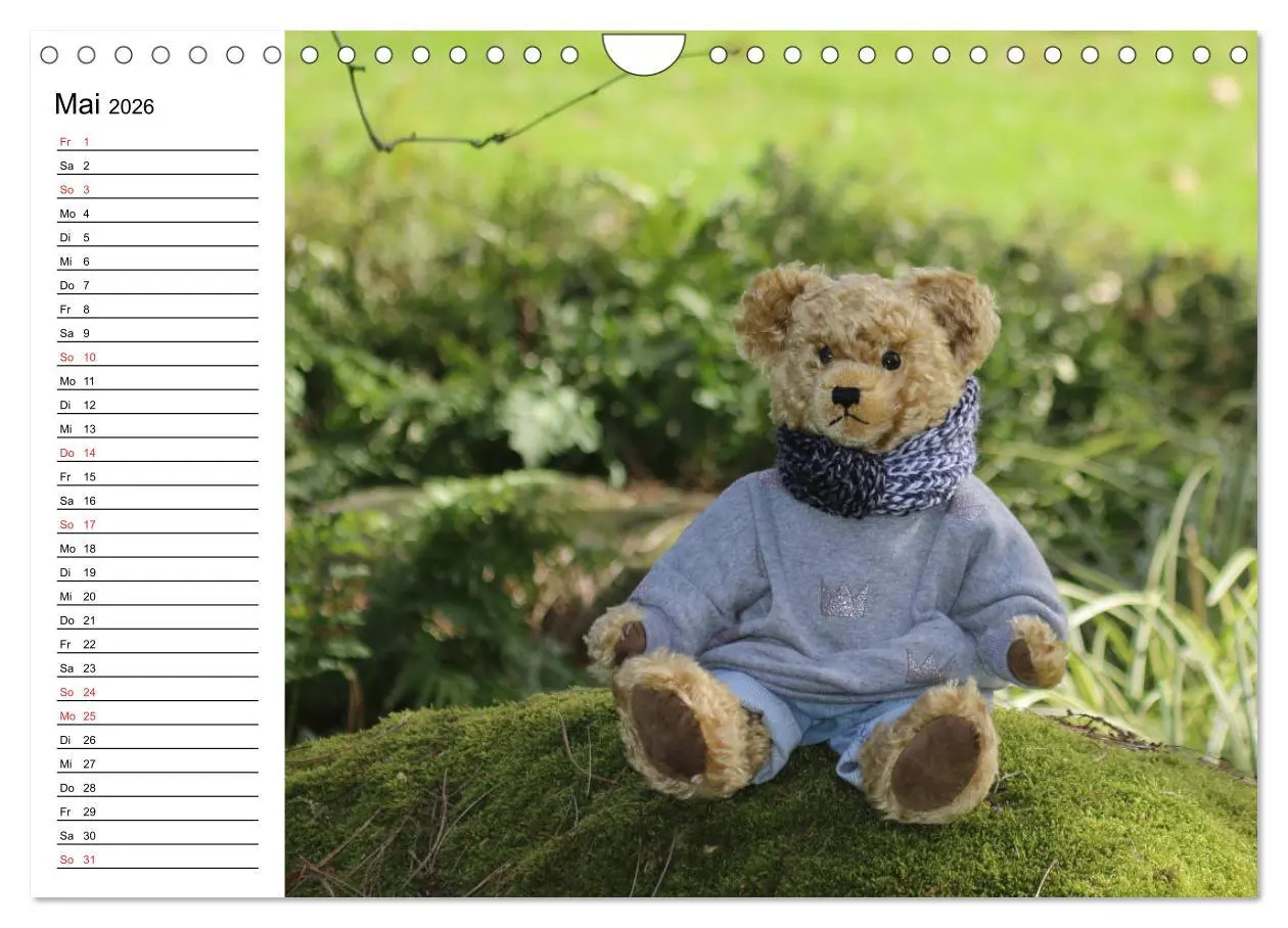 Bild: 9783457988046 | Teddy unterwegs (Wandkalender 2026 DIN A4 quer), CALVENDO...