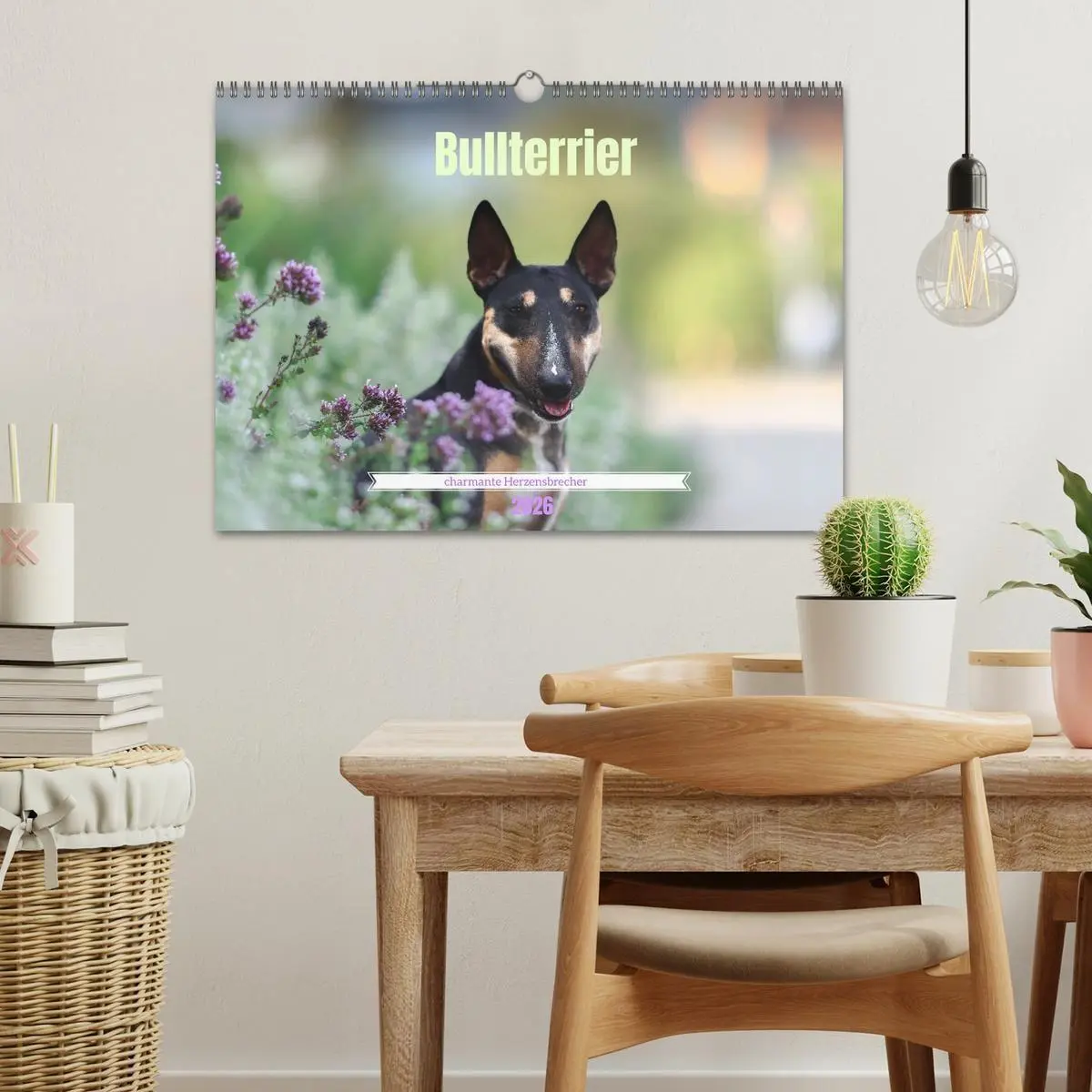 Bild: 9783516698046 | Bullterrier - charmante Herzensbrecher (Wandkalender 2026 DIN A3...