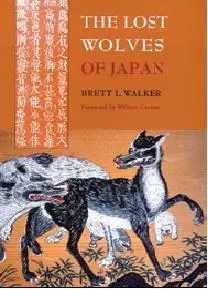 Cover: 9780295988146 | The Lost Wolves of Japan | Brett L Walker | Taschenbuch | Englisch